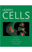 Lewin's Cells