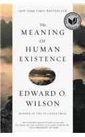 Meaning of Human Existence