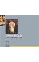 Diseases of Cattle A text and reference work