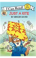 Little Critter: Just a Kite