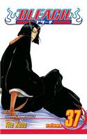 Bleach, Vol. 37