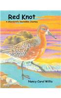 Red Knot