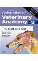 Color Atlas of Veterinary Anatomy, Volume 3, The Dog and Cat