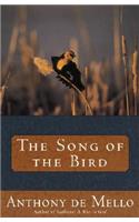 Song of the Bird