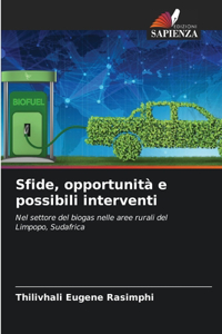 Sfide, opportunità e possibili interventi