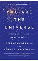 You Are the Universe