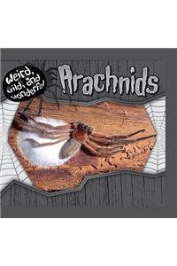 Arachnids