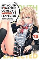 My Youth Romantic Comedy Is Wrong, As I Expected, Vol. 7.5 (light novel)