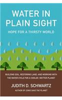 Water in Plain Sight