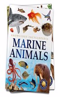 Animals: Marine Animals