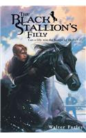 Black Stallion's Filly