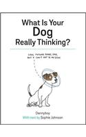 What Is Your Dog Really Thinking?