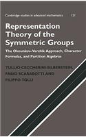 Representation Theory of the Symmetric Groups