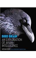 Bird Brain