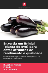 Enxertia em Brinjal (planta do ovo) para obter atributos de rendimento e qualidade