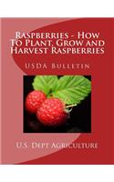 Raspberries - How To Plant, Grow and Harvest Raspberries
