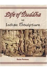 Vol. 5: Islam's Social Role