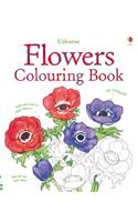 Flowers to Colour