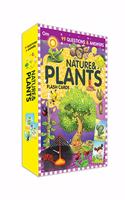 Flash Cards: 99 Questions and Answers Natures and Plants Flash Cards