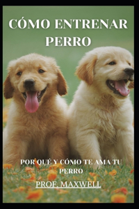 Cómo Entrenar Perro