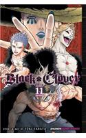 Black Clover, Vol. 11