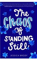 Chaos of Standing Still