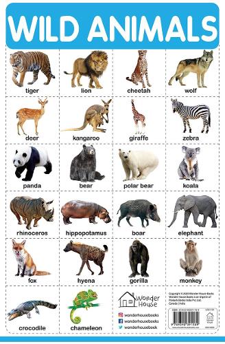 Wild Animals