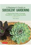 Beginner's Guide to Succulent Gardening