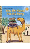 How the Camel Got Its Hump