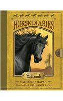 Horse Diaries #6