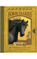 Horse Diaries #6: Yatimah