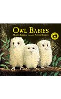 Owl Babies