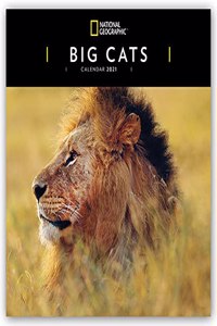 2024 Wwf Big Cats Plastic Free Wall