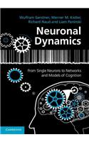 Neuronal Dynamics