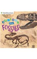 Curious About Fossils