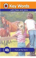 Key Words with Peter and Jane Ladybird