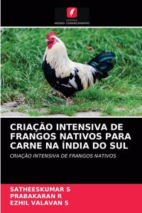 Criação Intensiva de Frangos Nativos Para Carne Na Índia Do Sul