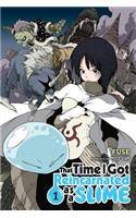 That Time I Got Reincarnated as a Slime, Vol. 1 (light novel)