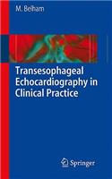 Transesophageal Echocardiography in Clinical Practice