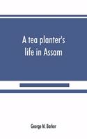 tea planter's life in Assam