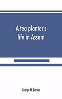 tea planter's life in Assam