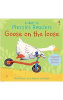 Goose On The Loose Phonics Reader
