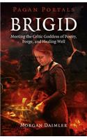 Pagan Portals – Brigid – Meeting the Celtic Goddess of Poetry, Forge, and Healing Well