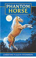 Phantom Horse: The Wild Palomino. Age 8+