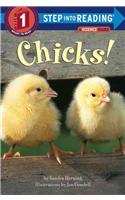 Chicks!