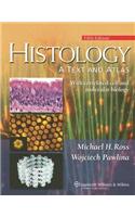 Histology