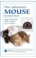 Laboratory Mouse