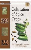 Cultivation of Spice Crops