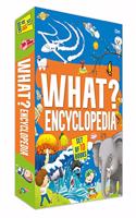 What? Encyclopedia