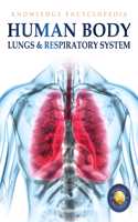 Human Body: Lungs and Respiratory System